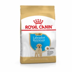 Royal Canin Breed 2x12kg Labrador Retriever Puppy Hondenvoer