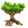 Aqua Della Decor Flora Scape No. 11 Aquarium Ornament 22x19x23.5 Cm -Dierenwinkel 4047059432150 1