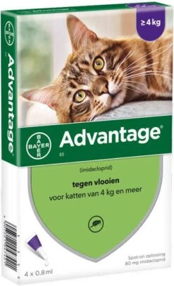 Advantage 2 X 4 Pipetten Â, ®, 80 Voor Katten Vanaf 4 Kg Dubbelpak -Dierenwinkel advantage 4 pipetten en xc2 80 voor katten vanaf 4kg 109070