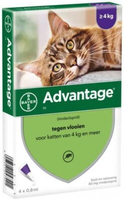 Advantage 2 X 4 Pipetten Â, ®, 80 Voor Katten Vanaf 4 Kg Dubbelpak -Dierenwinkel advantage 80 anti vlo kat vanaf 4 kg 4 pipetten 08 ml 43701