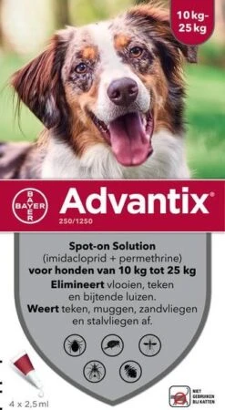 Advantix 10% Korting! ®, Spot On Solution Voor Honden Voor Honden 10 Kg 25 Kg (6 Pipetten ) -Dierenwinkel advantix spot on 250 25 ml anti vlooien en tekenmiddel 4 pip 10 25 kg 32590