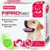 Beaphar Fiprotec Dog 3+1 Pip Anti Vlooien En Tekenmiddel 20 40kg Vanaf 12 Maanden 2 Beaphar Fiprotec Dog 3+1 Pip Anti Vlooien En Tekenmiddel 20 40kg Vanaf 12 Maanden -Dierenwinkel beaphar fiprotec dog 31 pip anti vlooien en tekenmiddel 20 40kg vanaf 12 maanden 30253