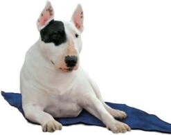 Animal Gear Europe GmbH Koel Ligmatten Voor Honden 14 Animal Gear Europe GmbH Koel Ligmatten Voor Honden -Dierenwinkel de huisdiersuper koeldeken blauw 80x60cm 20145