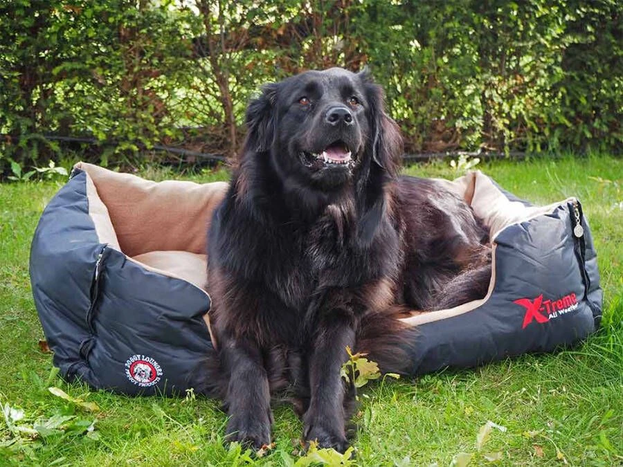 Doggy Bagg Doggy Lounger X-Treme Black S 58x45x23 CM 4 Doggy Bagg Doggy Lounger X-Treme Black S 58x45x23 CM - Afbeelding 2