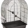 Flamingo Grasparkietenkooi Klara 2 45x28x62, 5 Cm Zwart -Dierenwinkel flamingo grasparkietenkooi klara 2 45x28x62 5 cm zwart 959123