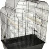 Flamingo Grasparkietenkooi Wammer 1 54x34x75 Cm Zwart -Dierenwinkel flamingo grasparkietenkooi wammer 1 54x34x75 cm zwart 1182921