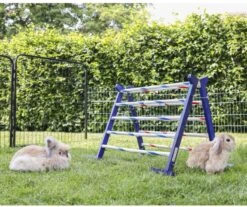 Kerbl Knaagdierenspel Springen/behendigheid Combo 7 92 Cm -Dierenwinkel kerbl knaagdierenspel springenbehendigheid combo 7 92 cm 566342