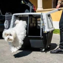 KERBL TRIXIE L 104 X B 73 X H 75 Cm Hondenbench Kunststof Gulliver -Dierenwinkel kerbl wielenset 4 stuks 21048