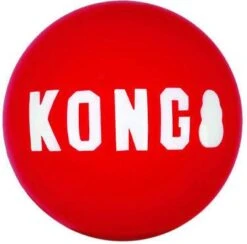 Kong Signature Balls 2 Pak Rood Hondenspeelgoed Large -Dierenwinkel kong signature ball large 43303