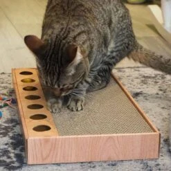 Quapas! Kattenkrabber Vote 30x26x15 Cm -Dierenwinkel quapas funny 23887