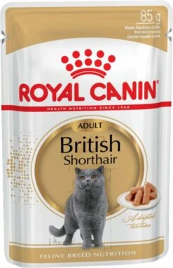 Royal Canin British Shorthair Adult Kattenvoer Bestel Ook Natvoer 12 X 85 G British Shorthair -Dierenwinkel royal canin breed royal canin british shorthair adult kattenvoer bestel ook natvoer 12 x 85 g britis