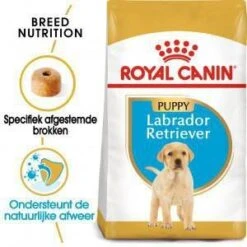 Royal Canin Breed 2x12kg Labrador Retriever Puppy Hondenvoer -Dierenwinkel royal canin breed royal canin puppy labrador retriever hondenvoer 3 kg 9774
