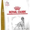 Royal Canin Veterinary Diet Urinary S/O Moderate Calorie Hondenvoer 1.5 Kg -Dierenwinkel royal canin veterinary diet urinary so moderate calorie hondenvoer 15 kg 44308