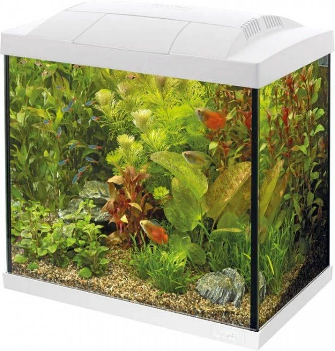 SuperFish Aquarium Start 30 Tropical Kit Retro Led 25 L Aquaria Wit 4 SuperFish Aquarium Start 30 Tropical Kit Retro Led 25 L Aquaria Wit - Afbeelding 2