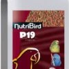 Versele-Laga Nutribird P19 Tropical Kweek Vogelvoer 10 Kg