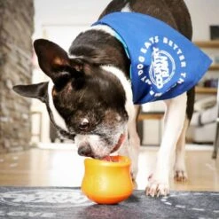 West Paw Hondenspeelgoed Met Zogoflex Toppl S Mandarijnoranje 12 West Paw Hondenspeelgoed Met Zogoflex Toppl S Mandarijnoranje -Dierenwinkel west paw hondenspeelgoed met zogoflex toppl s mandarijnoranje 393361